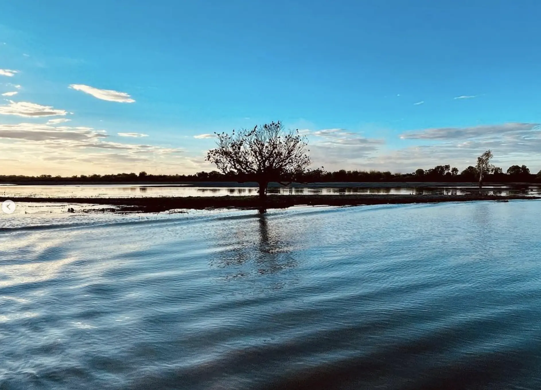 Yellow Water Billabong