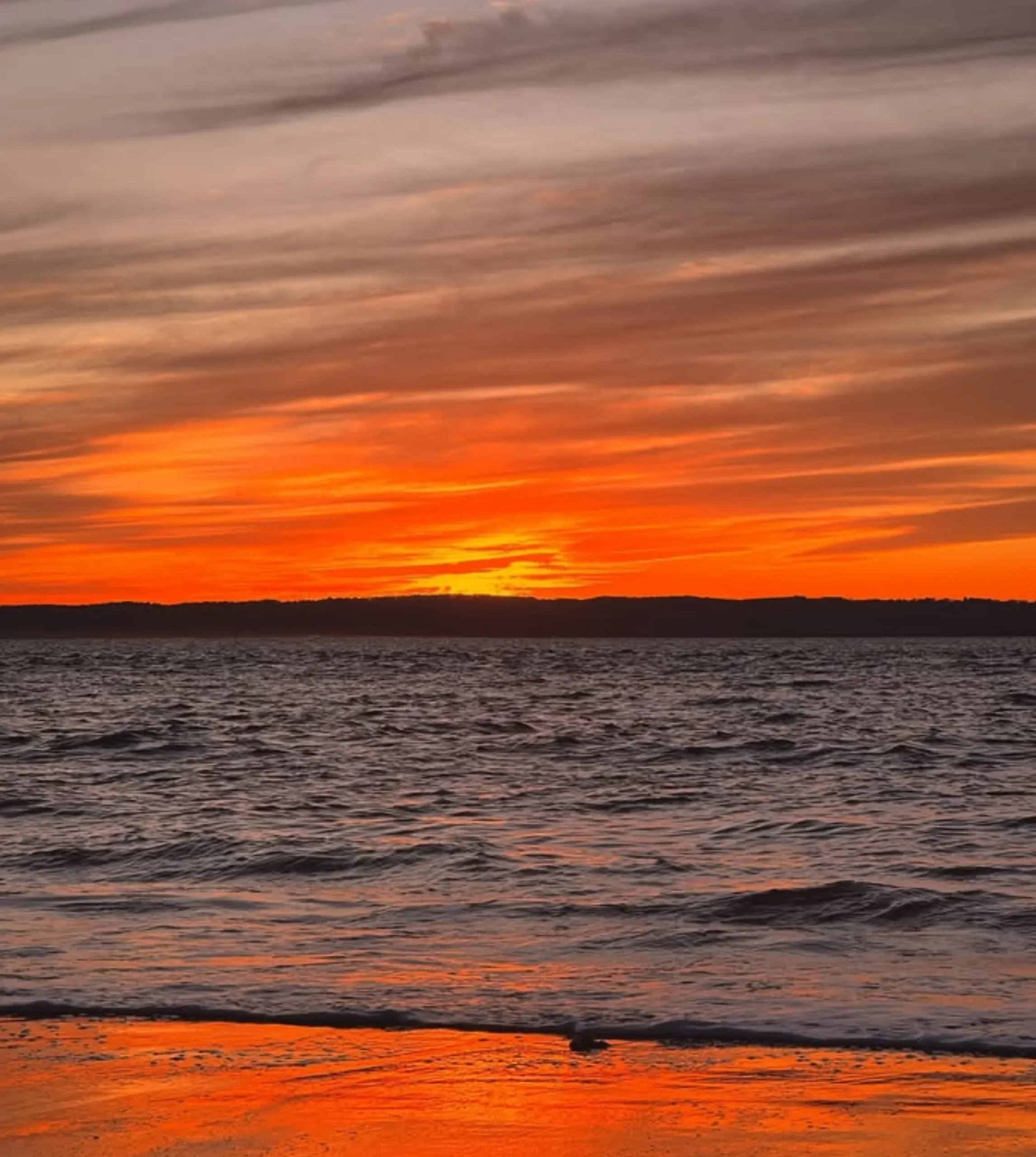 Phillip Island tours from Melbourne