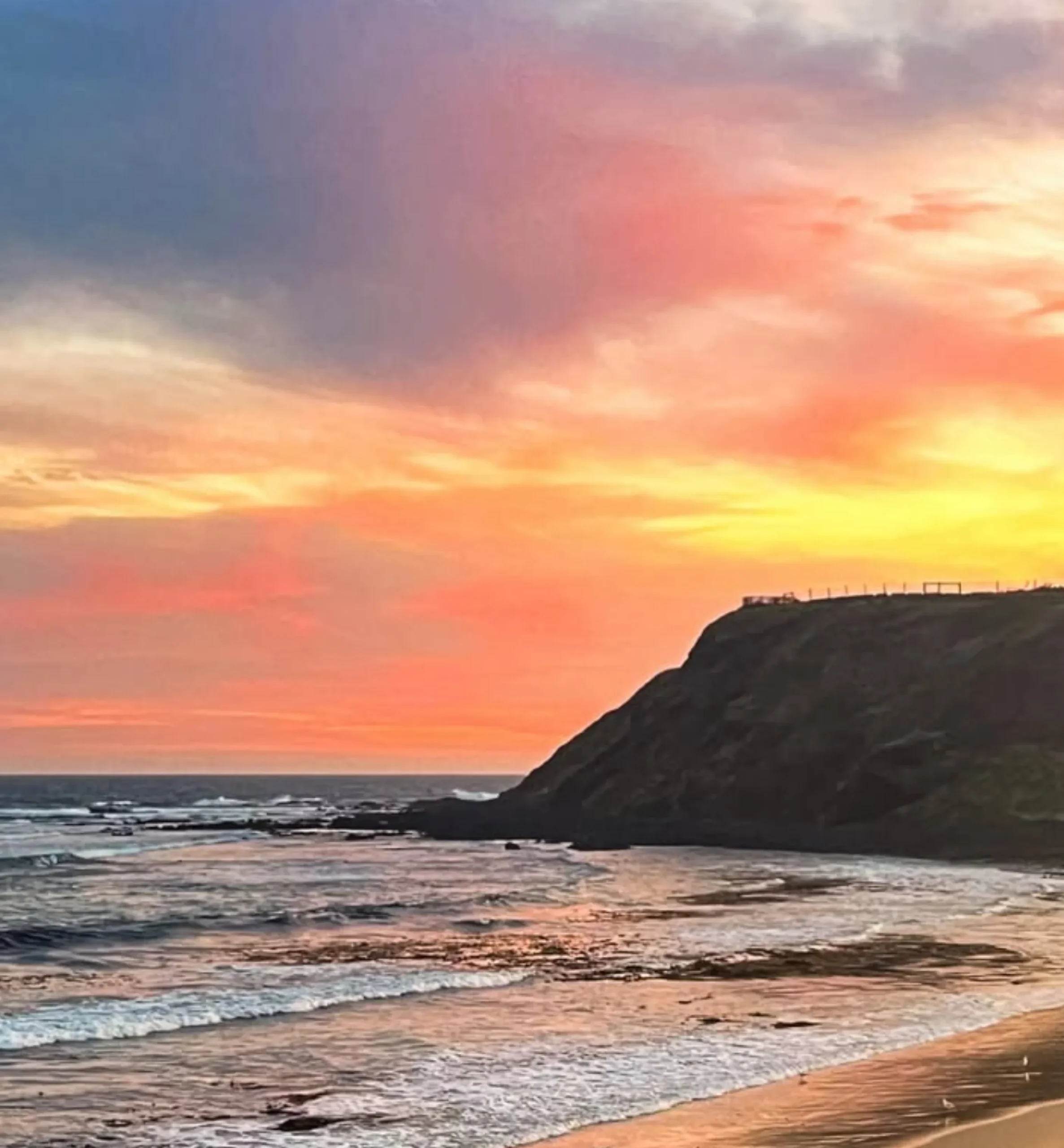 Phillip Island whale watching