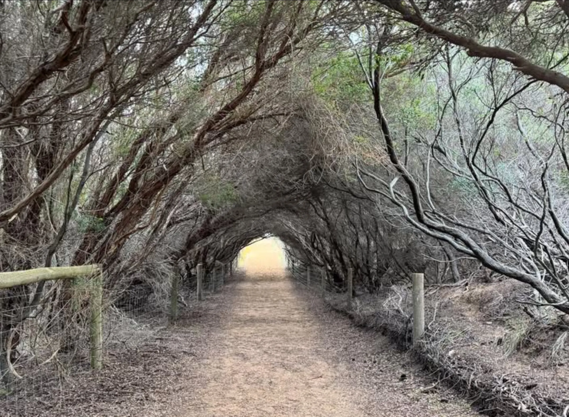 Phillip Island winter attractions