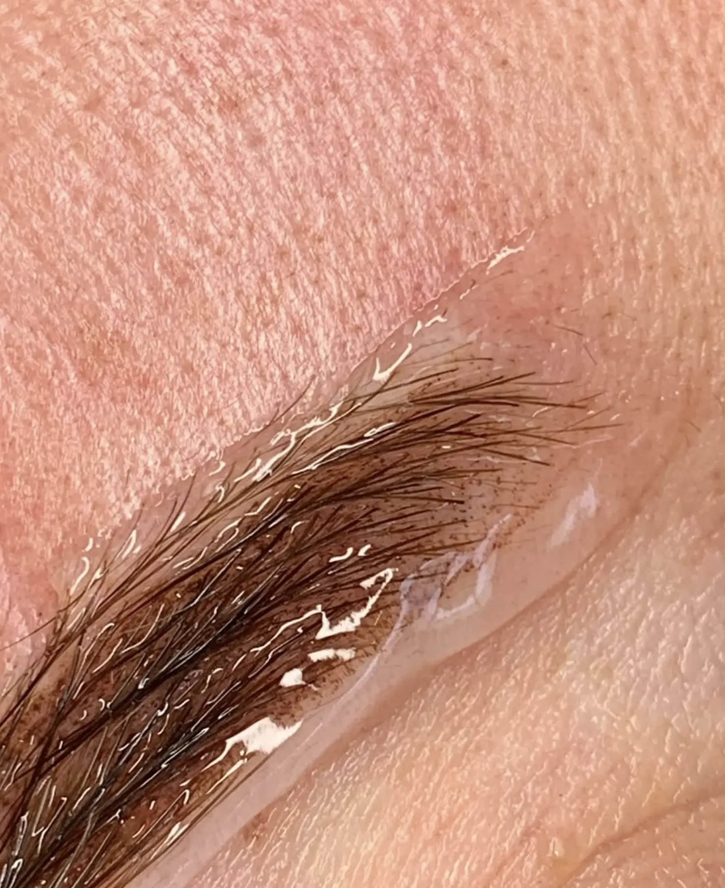 cosmetic tattoo industry Australia 2025
