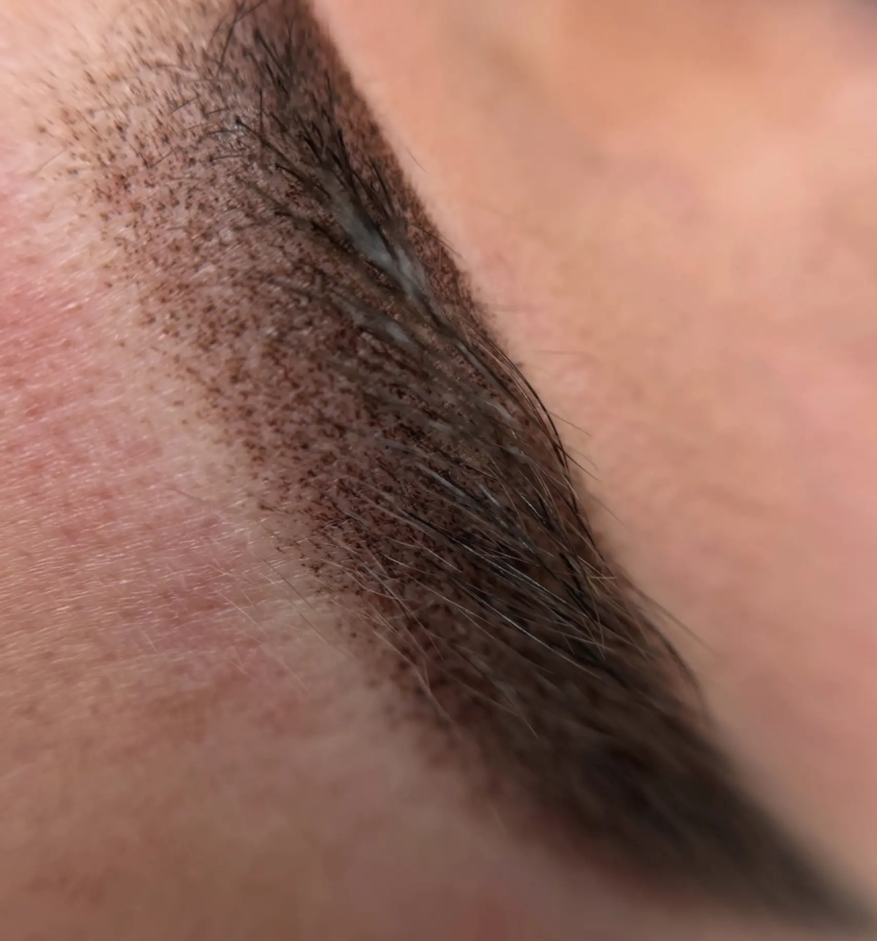 3d microblading cosmetic tattoo & training orange
